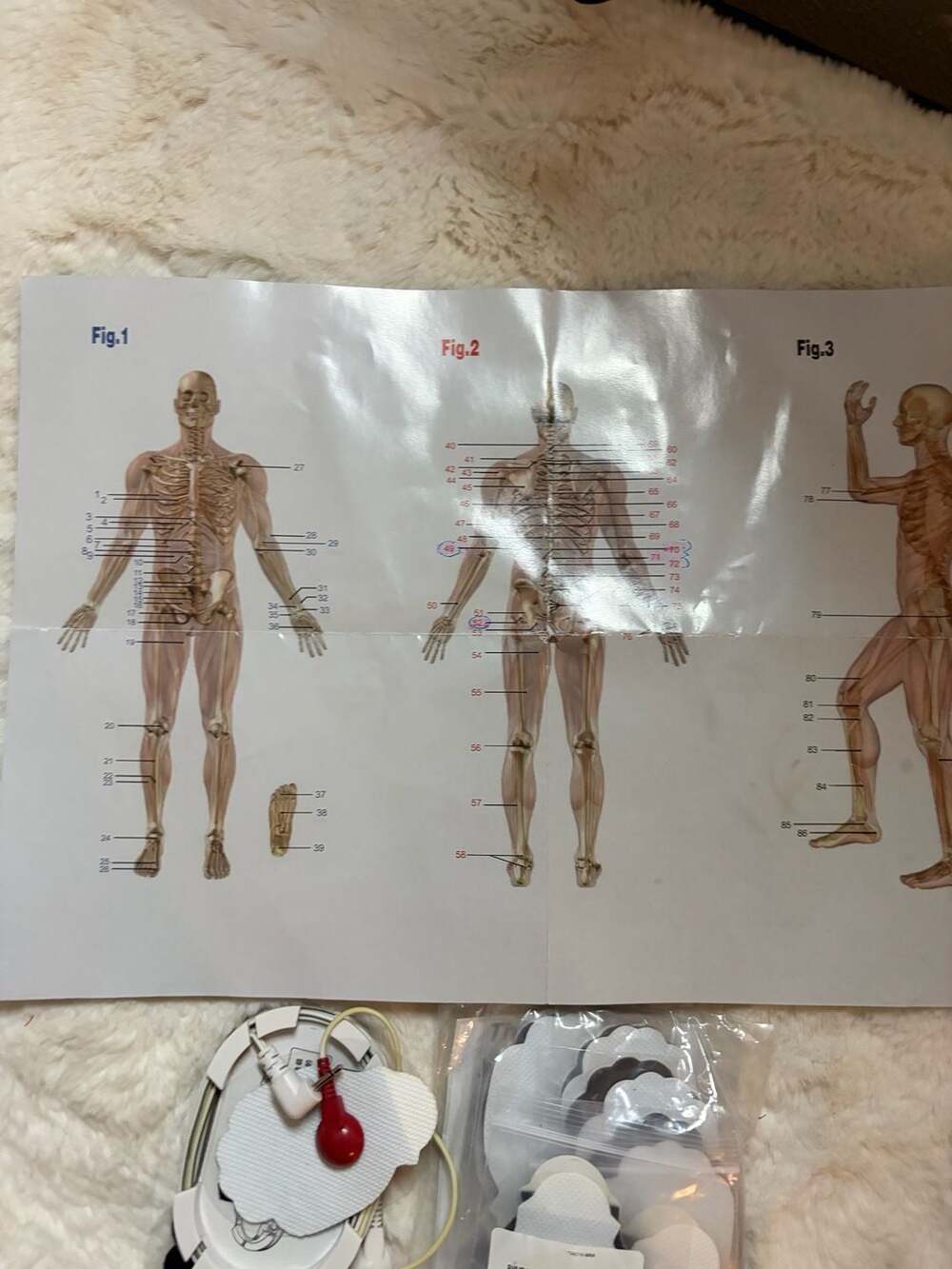 MED-X TENS/EMS Replacement Pads Set with Anatomical Placement Chart